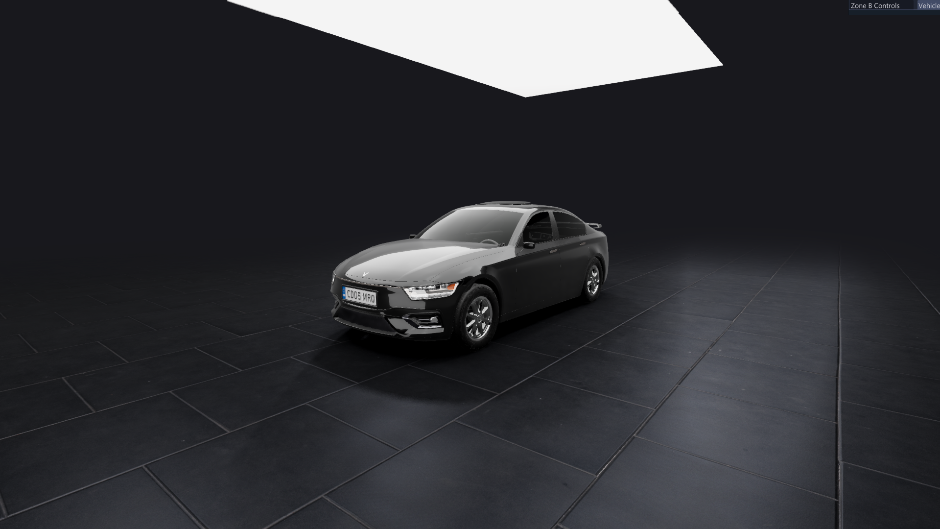 Lead Designer Vision